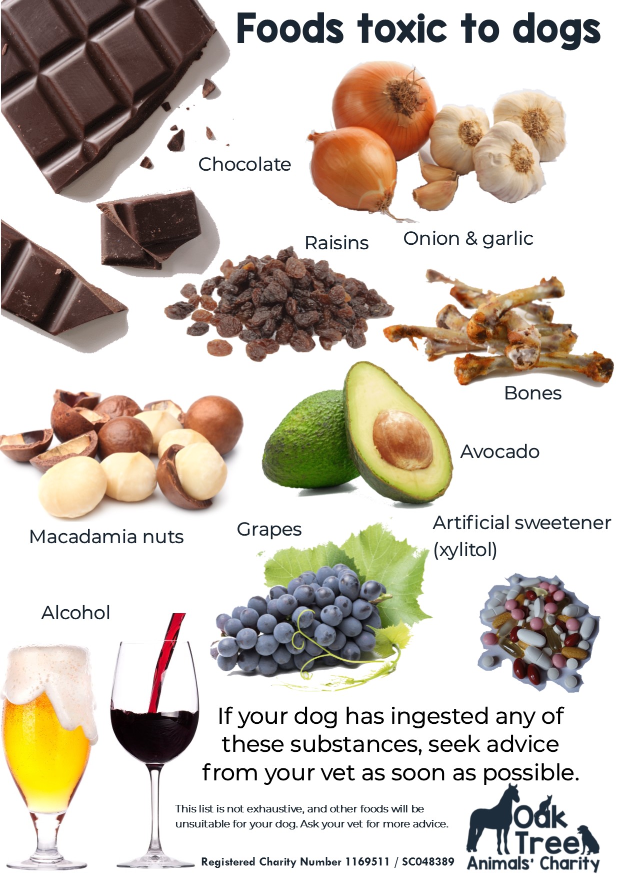 Food Toxic to Dogs Oak Tree Animals' Charity Cumbria Animal Rescue